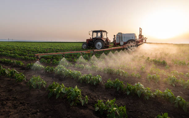 Seasonal Pest Control in Madera, CA